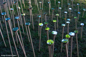 Aaron took some great detail shots showing the tree reflections. Photo: Aaron Stern